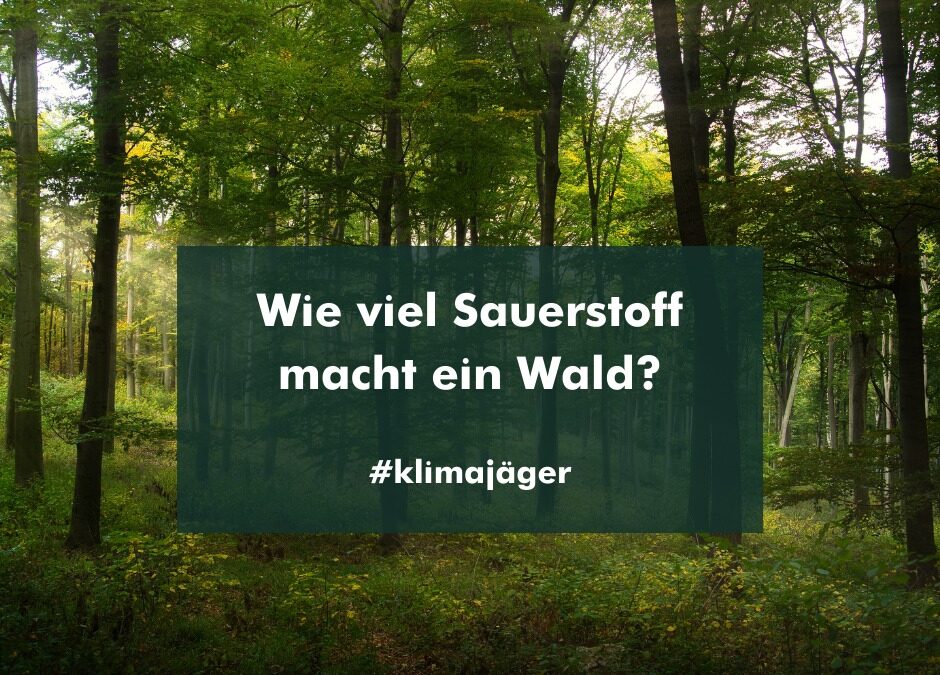 Wienerwald: Luft für zwei Millionen