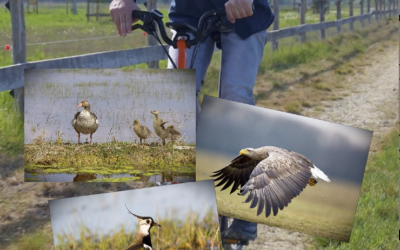 Good News – THE RIDE: In einem Jahr zum Vogelparadies