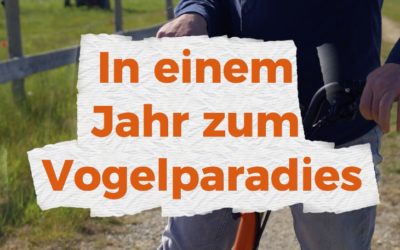 THE RIDE: In einem Jahr zum Vogelparadies